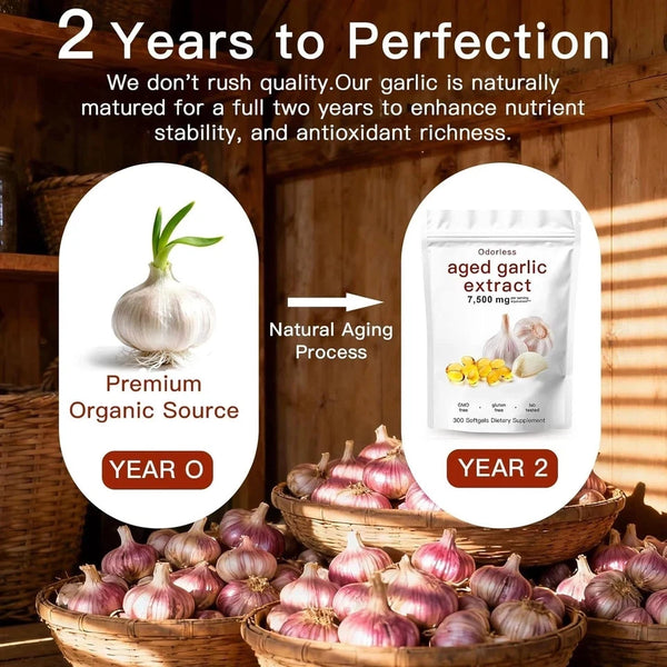 Odorless Garlic 7500mg – 300 Softgels | 2-Year Aged Garlic